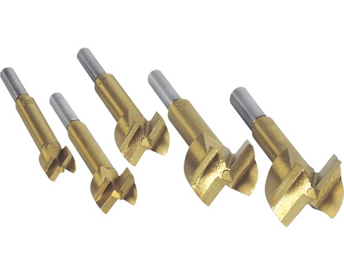 5Pcs Forstner Bits Set
