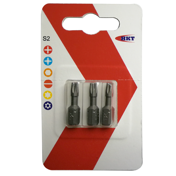 Torsion Bits with step